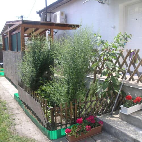 A ház és a terasz – Fonyód apartman 2